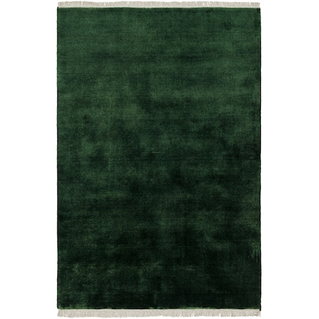 Evergreen EVG-2313 Handmade Area Rug